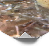 少年3スポットクマガミ ポスター (角)