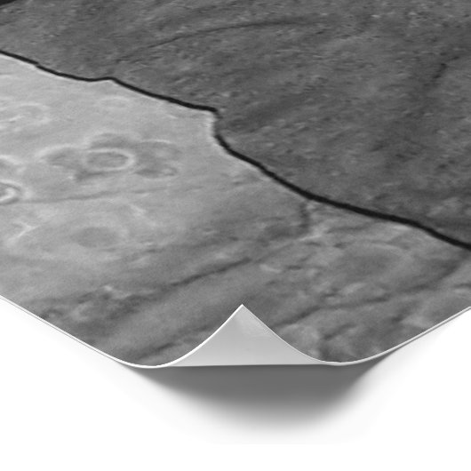 少年 ポスター (角)