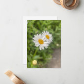 少数のデイジー ノートカード (正面/裏面インサイチュ)