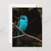 尖形円錐形 ポストカード (正面/裏面)