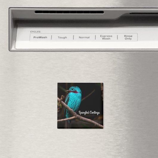 尖形円錐形 マグネット (インサイチュ (食洗機))