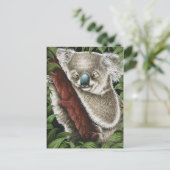 就寝用コアラ葉書 ポストカード (スタンド正面)