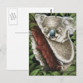 就寝用コアラ葉書 ポストカード (正面/裏面)