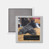 尻尾に話し掛ける マグネット (正面/裏面)