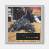 尻尾に話し掛ける マグネット (正面)