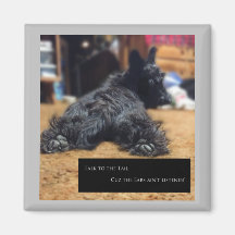 尻尾に話し掛ける