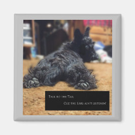 尻尾に話し掛ける マグネット