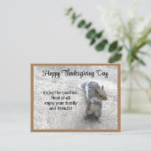 尻尾のふわふわのかわいい小リスの写真 シーズンポストカード (スタンド正面)