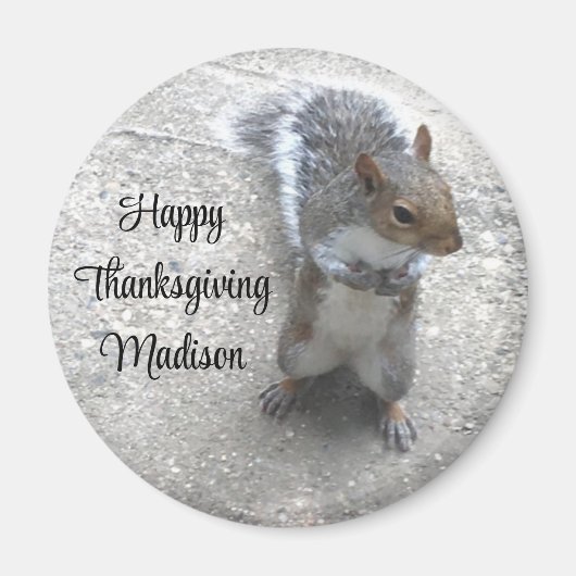 尻尾のふわふわのかわいい小リスの写真 マグネット (正面)