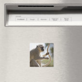 尻尾を持ったベルベットのサル マグネット (インサイチュ (食洗機))