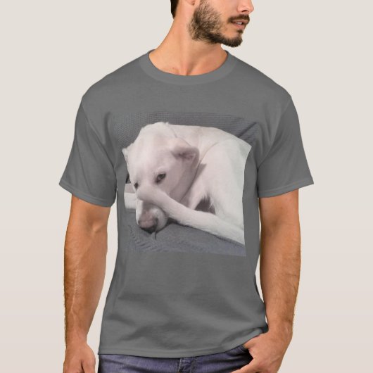 尻尾を隠した白犬の顔 Tシャツ (正面)