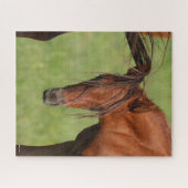 尻尾を頭に付けたクリの群生の群れ ジグソーパズル (横)