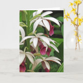 尼僧の蘭の花の挨拶状 カード (黄色い花)