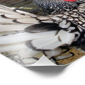 尾がケージに表示される白黒のオンドリ フォトプリント            (角)