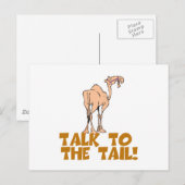尾のラクダに話し掛ける ポストカード (正面/裏面)
