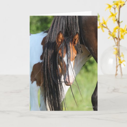 尾の下に隠れるアイルランドのスポーツ・ホース・フォール カード (黄色い花)