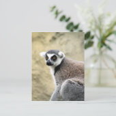 尾の付いたキツネザルの表情 ポストカード (スタンド正面)