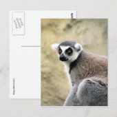 尾の付いたキツネザルの表情 ポストカード (正面/裏面)