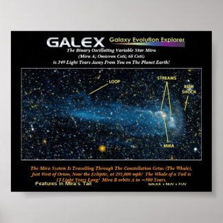 尾の付いた詳細な星ミラ、バイナリOs... ポスター