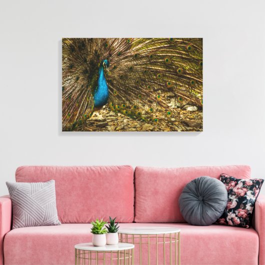 尾の羽が開いた美しい青い孔雀 キャンバスプリント (インサイチュ (リビング))