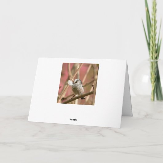 尾の長いティット カード (裏面)