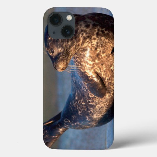 尾を上げている赤ちゃんのアザラシ Case-Mate iPhoneケース (裏面)