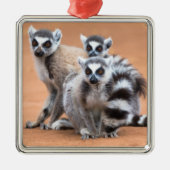 尾リングや輪群 メタルオーナメント (正面)