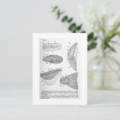 尾側フィンのアートポストカードの進化 ポストカード (スタンド正面)