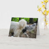 尾振動の方法/記念日カード カード (黄色い花)