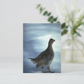 尾根 ポストカード (スタンド正面)