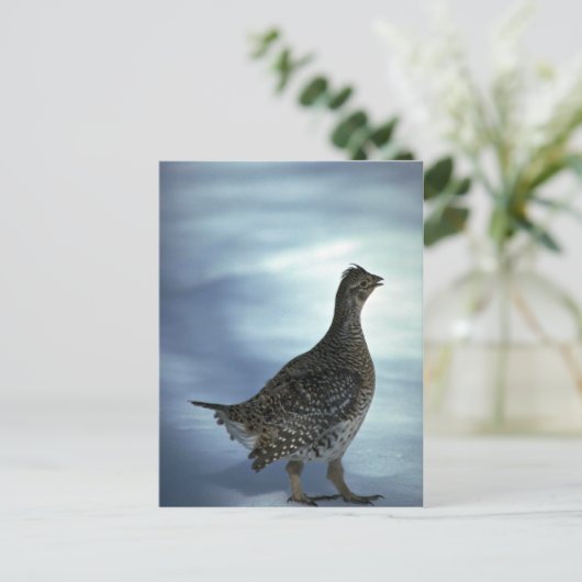 尾根 ポストカード (スタンド正面)