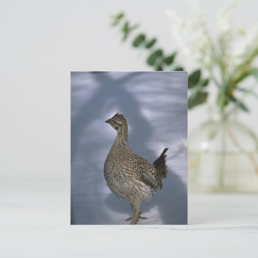 尾根 ポストカード (スタンド正面)