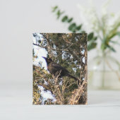 尾素晴らし付き写真はがき ポストカード (スタンド正面)