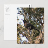 尾素晴らし付き写真はがき ポストカード (正面/裏面)