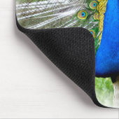 尾羽を表示する孔雀Tシャツ マウスパッド (コーナー)