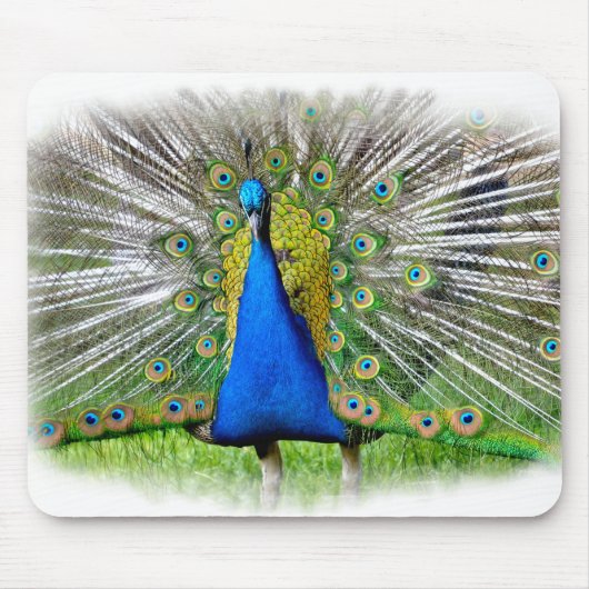 尾羽を表示する孔雀Tシャツ マウスパッド (正面)