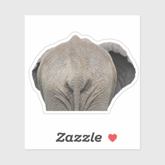 尾象の写真 シール (シート)