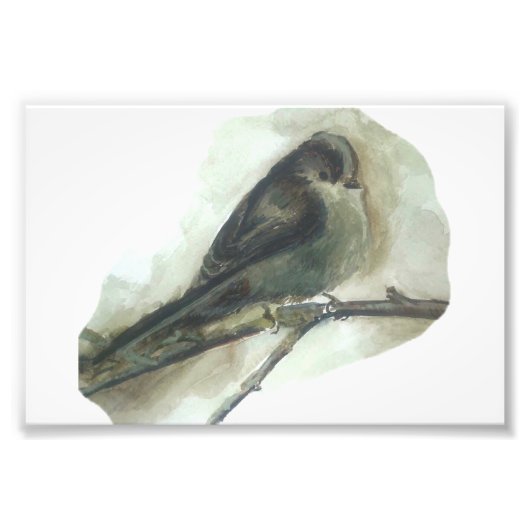 尾長ティットガーデン鳥の水色プリント フォトプリント            (正面)