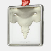 尾骨の骨 メタルオーナメント (左)