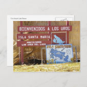 尾骨チカカ ポストカード (正面/裏面)