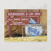 尾骨チカカ ポストカード (正面)