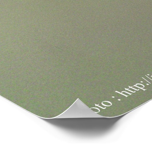 尾骨 ポスター (角)