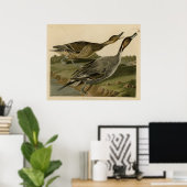 尾鴨のピン ポスター (ホームオフィス)