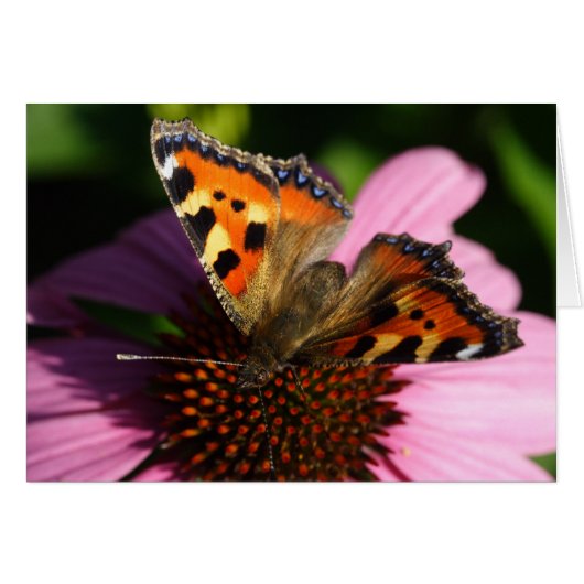 尿細管膨大症 (正面横)