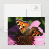 尿細管膨大症 ポストカード (正面/裏面)