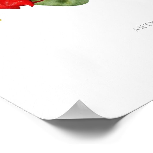 尿膜萎縮症 ポスター (角)