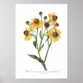 尿道結節症 ポスター (正面)