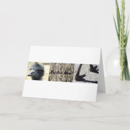 居住者エイリアントリプチチ カード