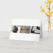 居住者エイリアントリプチチ カード (黄色い花)