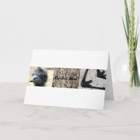 居住者エイリアントリプチチ カード (正面)